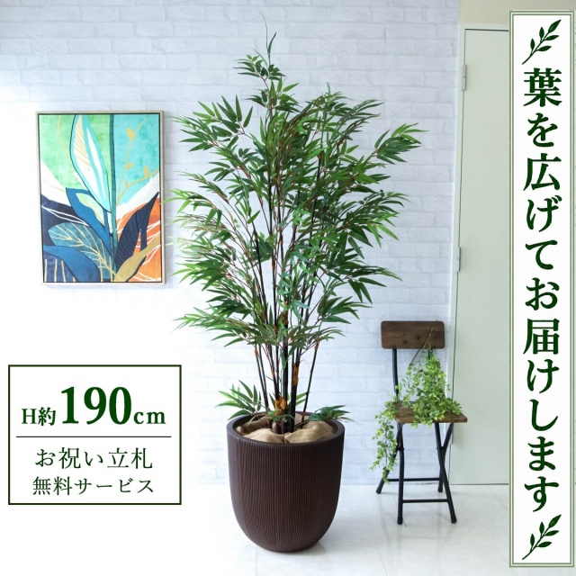 【すぐ飾れる】 フェイクグリーン 黒竹 H約190cm 大型 鉢付き / 法人・開店祝い 店舗・オフィス装飾 空間演出 立札無料・造花/PG229-FRA44DB