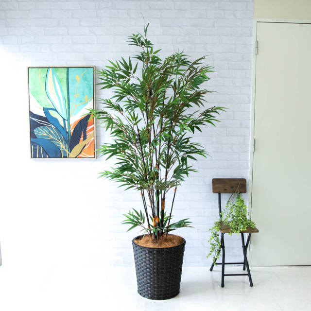 人工 観葉植物 フェイク グリーン 黒竹 H約190cm 大型 店舗 装飾