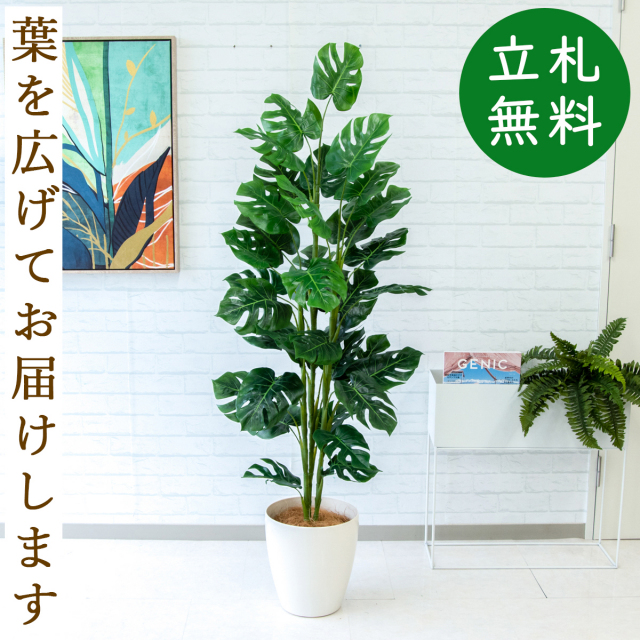 フェイクグリーン スプリットフィロツリー H約155cm 鉢付き / 観葉植物 フェイク 人工観葉植物 造花 店舗 装飾 開店 開業 移転 祝い ギフト プレゼント おしゃれ 住宅展示場 モデルハウス オフィス 立札無料 PG231-A265WH