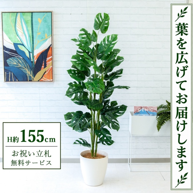 【すぐ飾れる】 フェイクグリーン スプリットフィロツリー H約155cm 鉢付き / 法人・開店祝い 店舗・オフィス装飾 空間演出 立札無料・造花/PG231-A265WH