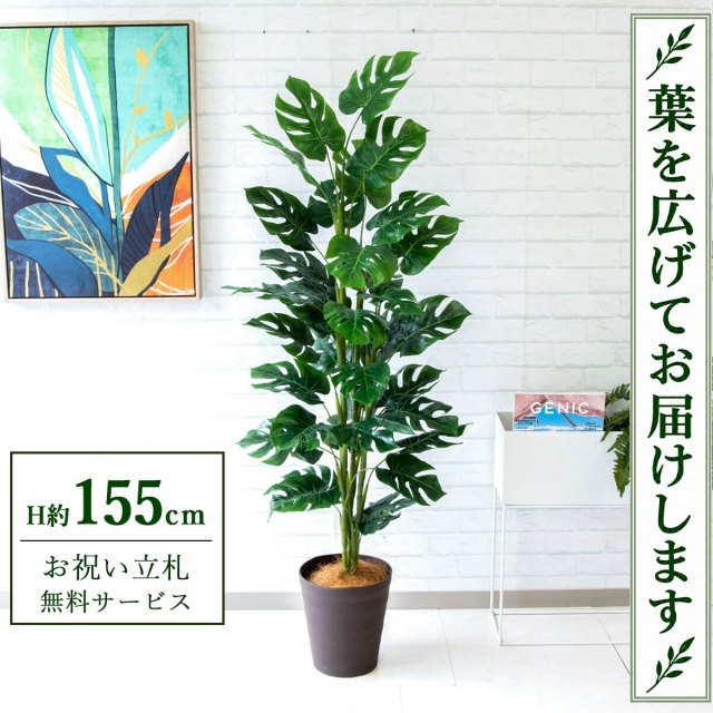 【すぐ飾れる】 フェイクグリーン スプリットフィロツリー H約155cm 鉢付き / 法人・開店祝い 店舗・オフィス装飾 空間演出 立札無料・造花/PG231-B240BR
