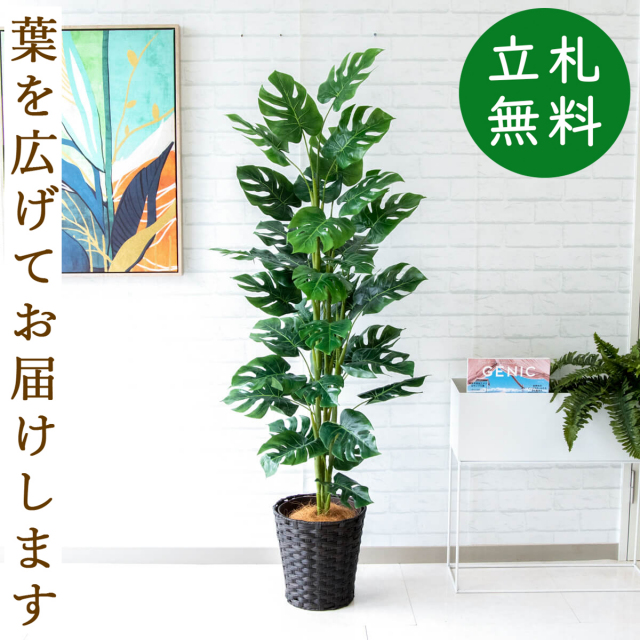フェイクグリーン スプリットフィロツリー H約155cm 鉢付き / 観葉植物 フェイク 人工観葉植物 造花 店舗 装飾 開店 開業 移転 祝い ギフト プレゼント おしゃれ 住宅展示場 モデルハウス オフィス 立札無料 PG231-MEL26DB