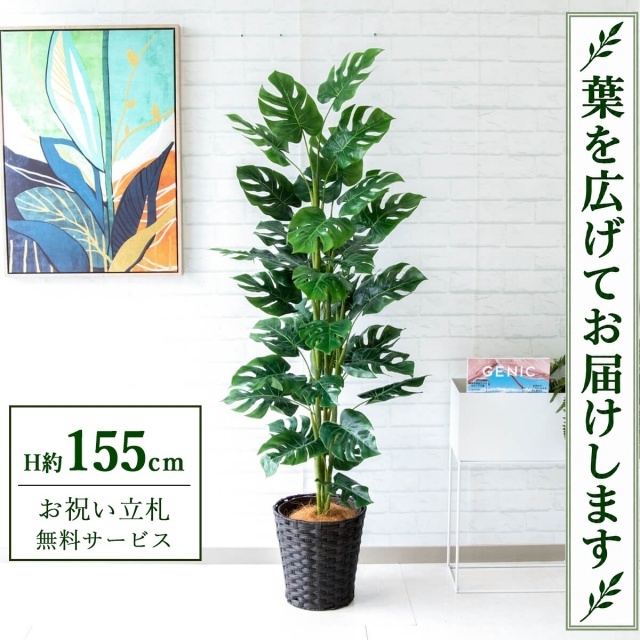 【すぐ飾れる】 フェイクグリーン スプリットフィロツリー H約155cm 鉢付き / 法人・開店祝い 店舗・オフィス装飾 空間演出 立札無料・造花/PG231-MEL26DB