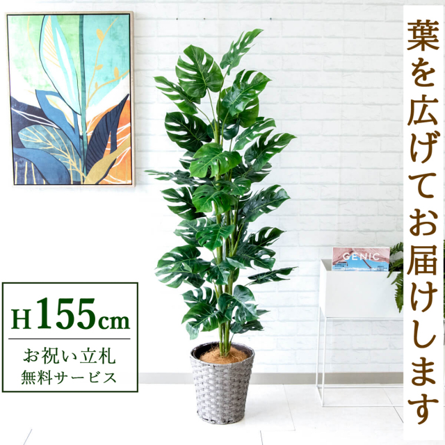 【すぐ飾れる】 フェイクグリーン スプリットフィロツリー 155cm 鉢付き / 法人・開店祝い 店舗・オフィス装飾 空間演出 立札無料・造花/PG231-MEL26GY