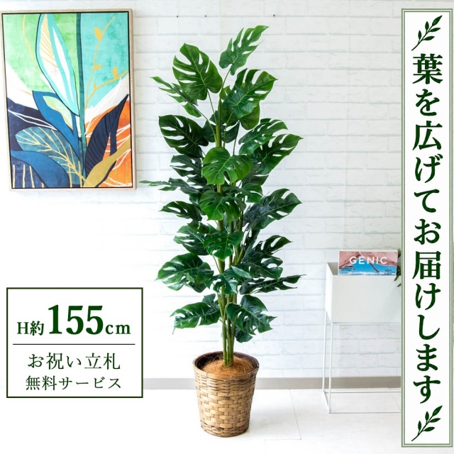 【すぐ飾れる】 フェイクグリーン スプリットフィロツリー H約155cm 鉢付き / 法人・開店祝い 店舗・オフィス装飾 空間演出 立札無料・造花/PG231-S24