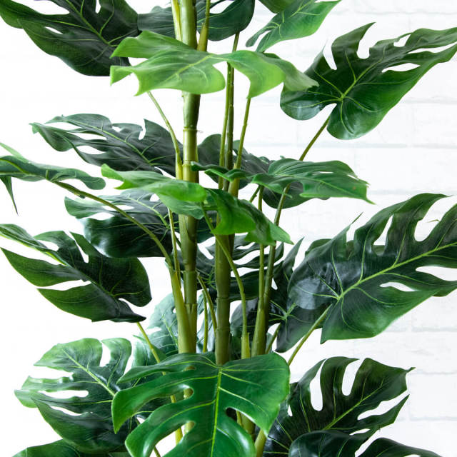 人工 観葉植物 フェイク グリーン スプリットフィロツリー H約155cm