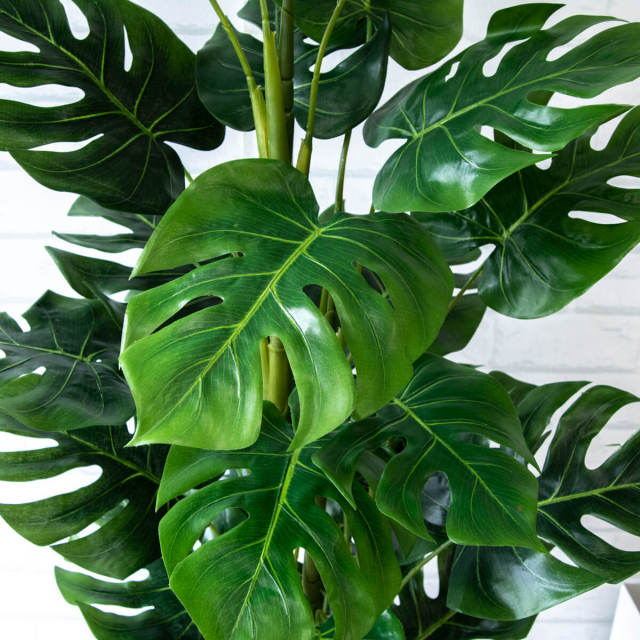 人工 観葉植物 フェイク グリーン スプリットフィロツリー H約