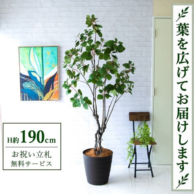 【すぐ飾れる】 フェイクグリーン スモークツリー H約190cm 大型 鉢付き / 法人・開店祝い 店舗・オフィス装飾 空間演出 立札無料・造花/PG232-M36DB