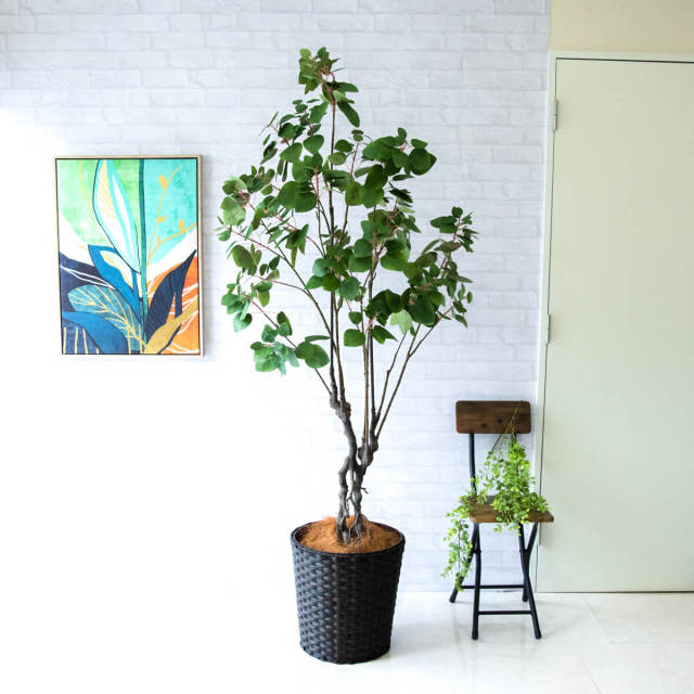 人工 観葉植物 フェイク グリーン スモークツリー H約190cm 大型 店舗