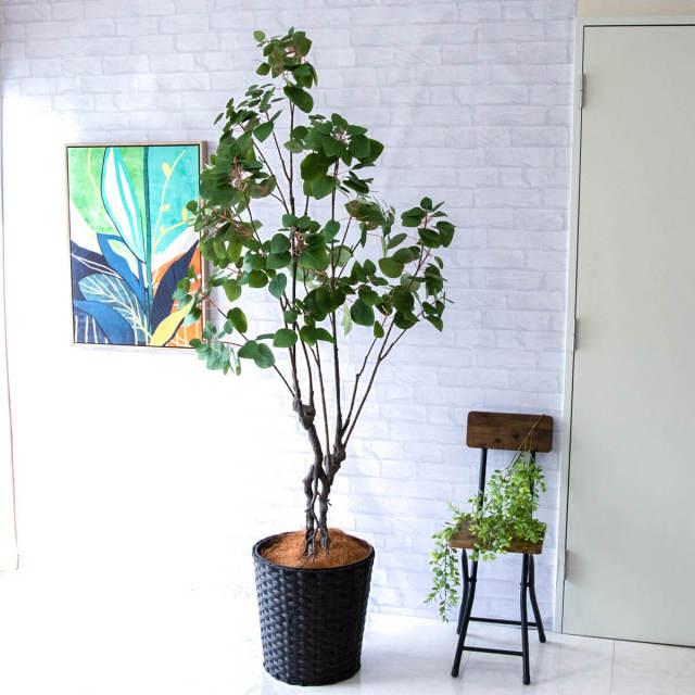 人工 観葉植物 フェイク グリーン スモークツリー H約190cm 大型 店舗