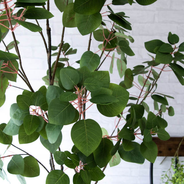 人工 観葉植物 フェイク グリーン スモークツリー H約190cm 大型 店舗