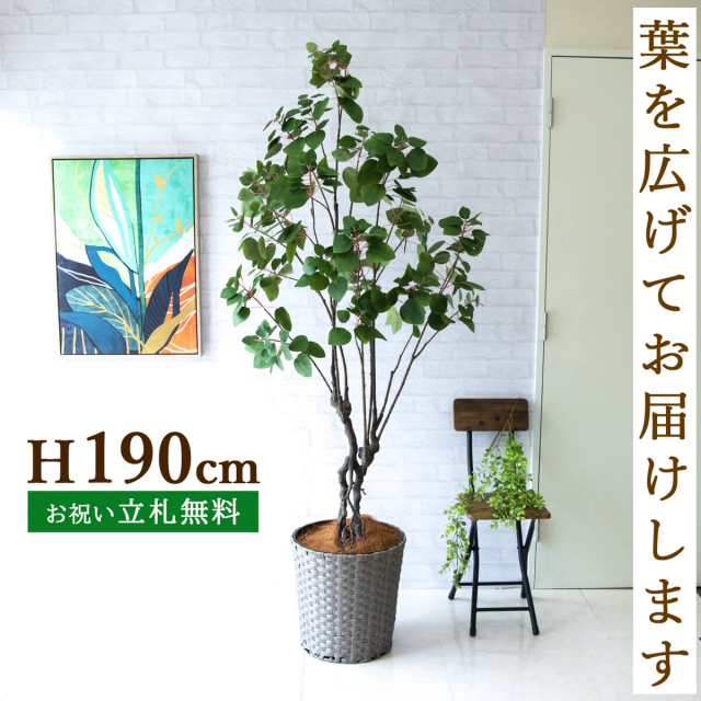 フェイクグリーン スモークツリー H約190cm 鉢付き / 人工観葉植物 観葉植物 フェイク 造花 大型 大きい 店舗 装飾 開店 開業 移転 祝い ギフト プレゼント おしゃれ 住宅展示場 モデルハウス オフィス 立札無料 PG232-MEL38GY