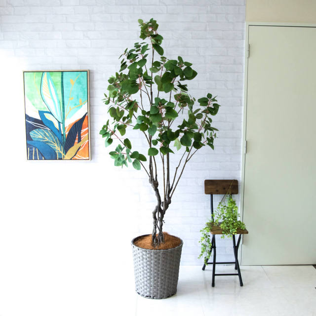 再販・スマイリー マグ(イエロー)❁﻿多肉植物＆グリーン アレンジ 肌寒く 