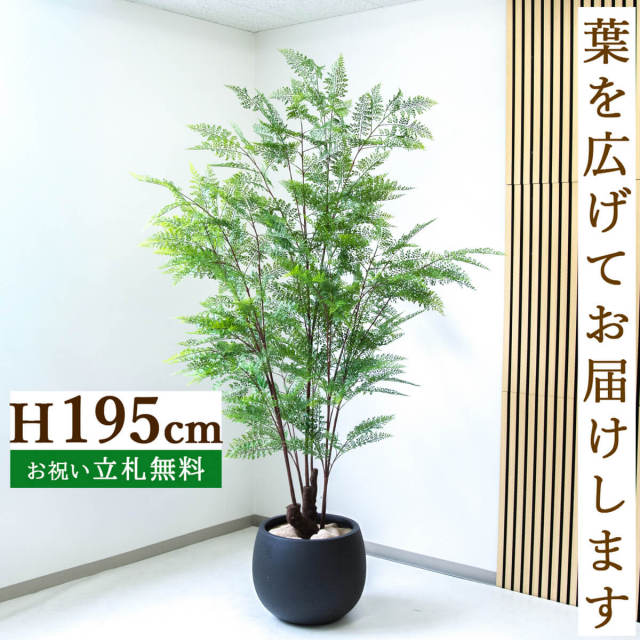 フェイクグリーン ファーン H約195cm 鉢付き / 人工観葉植物 観葉植物 フェイク 造花 大型 大きい 店舗 装飾 開店 開業 移転 祝い ギフト プレゼント おしゃれ 住宅展示場 モデルハウス オフィス 立札無料 /PG233-D42BK