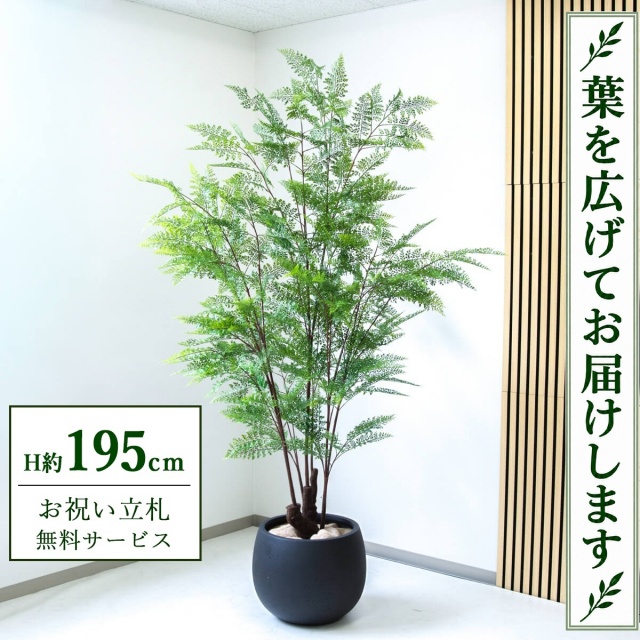 【すぐ飾れる】 フェイクグリーン ファーン H約195cm 大型 鉢付き / 法人・開店祝い 店舗・オフィス装飾 空間演出 立札無料・造花/PG233-D42BK