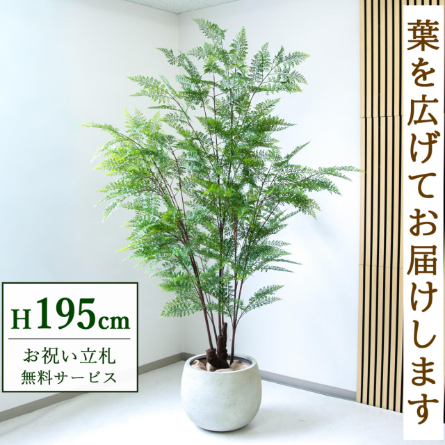 フェイクグリーン ファーン H約195cm 鉢付き / 人工観葉植物 観葉植物 フェイク 造花 大型 大きい 店舗 装飾 開店 開業 移転 祝い ギフト プレゼント おしゃれ 住宅展示場 モデルハウス オフィス 立札無料 /PG233-D42IV