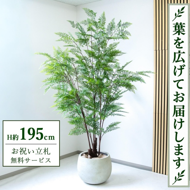 【すぐ飾れる】 フェイクグリーン ファーン H約195cm 大型 鉢付き / 法人・開店祝い 店舗・オフィス装飾 空間演出 立札無料・造花/PG233-D42IV