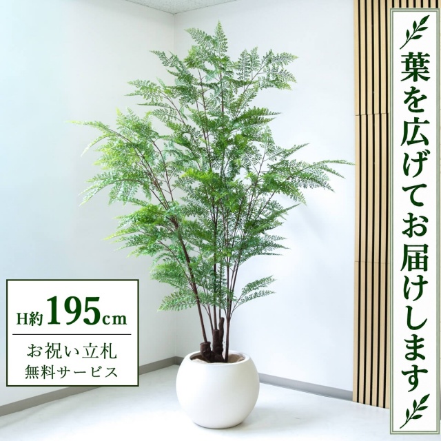 【すぐ飾れる】 フェイクグリーン ファーン H約195cm 大型 鉢付き / 法人・開店祝い 店舗・オフィス装飾 空間演出 立札無料・造花/PG233-ROM43IV