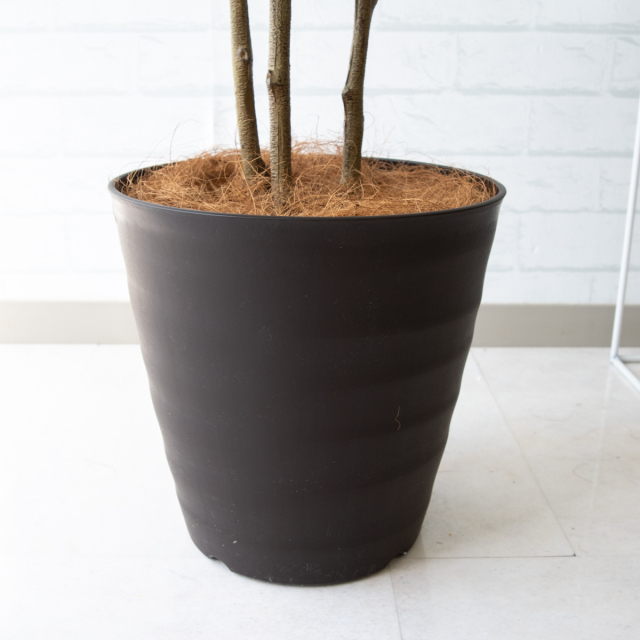人工 観葉植物 フェイク グリーン シマトネリコ H約150cm 店舗