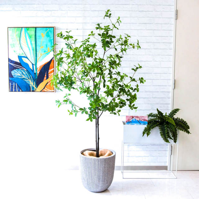 人工 観葉植物 フェイク グリーン どうだんつつじ H約180cm 大型