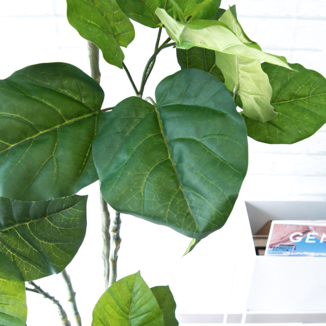 人工 観葉植物 フェイク グリーン ウンベラータ H約165cm 店舗 装飾