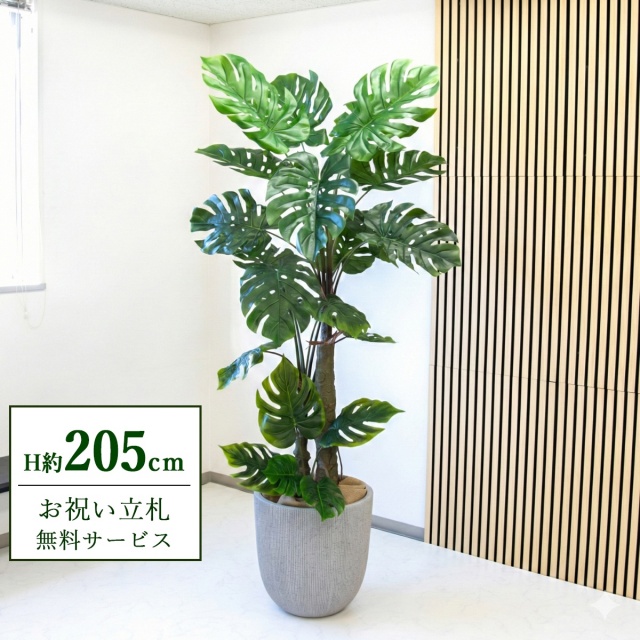 【すぐ飾れる】 フェイクグリーン モンステラ H約205cm 大型 2分割 鉢付き / 法人・開店祝い 店舗・オフィス装飾 空間演出 立札無料・造花/PG239-FRA44WH