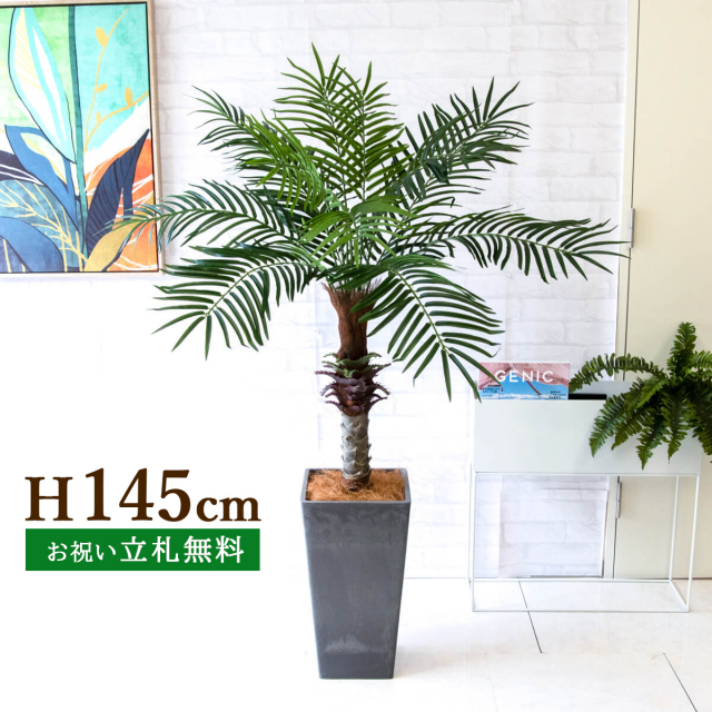 フェイクグリーン フェニックスパームツリー(ヤシの木) H約145cm 鉢付き ２分割 / 人工観葉植物 観葉植物 フェイク 造花パームツリー 南国 夏 店舗 装飾 開店 開業 移転 祝い ギフト プレゼント おしゃれ 住宅展示場 PG240-Q25BK