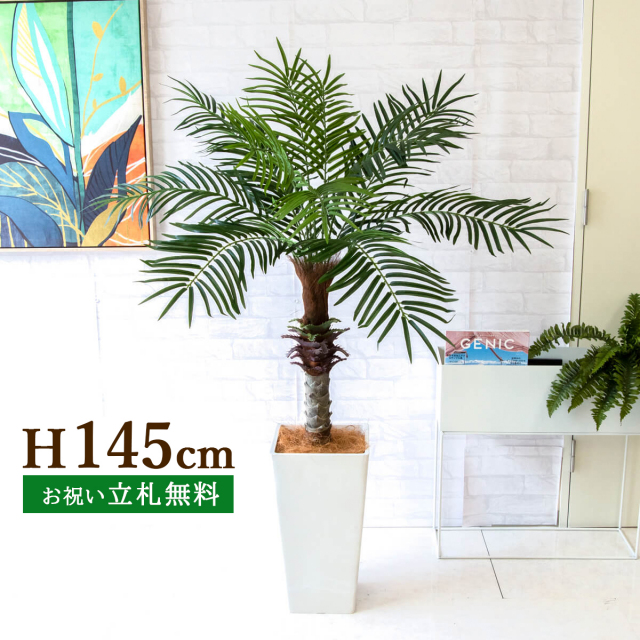 フェイクグリーン フェニックスパームツリー(ヤシの木) H約145cm 鉢付き ２分割 / 人工観葉植物 観葉植物 フェイク 造花パームツリー 南国 夏 店舗 装飾 開店 開業 移転 祝い ギフト プレゼント おしゃれ 住宅展示場 PG240-Q25WH