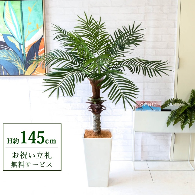 【すぐ飾れる】 フェイクグリーン フェニックス パームツリー ヤシの木 H約145cm 2分割 鉢付き / 法人・開店祝い 店舗・オフィス装飾 空間演出 立札無料・造花/PG240-Q25WH