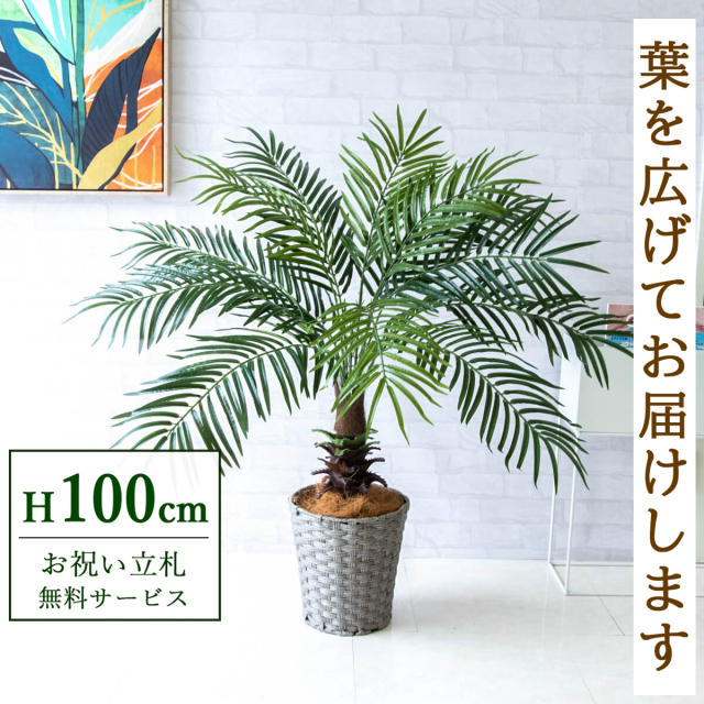 【すぐ飾れる】 フェイクグリーン フェニックス パームツリー ヤシの木 100cm 鉢付き / 法人・開店祝い 店舗・オフィス装飾 空間演出 立札無料・造花/PG241-MEL26GY