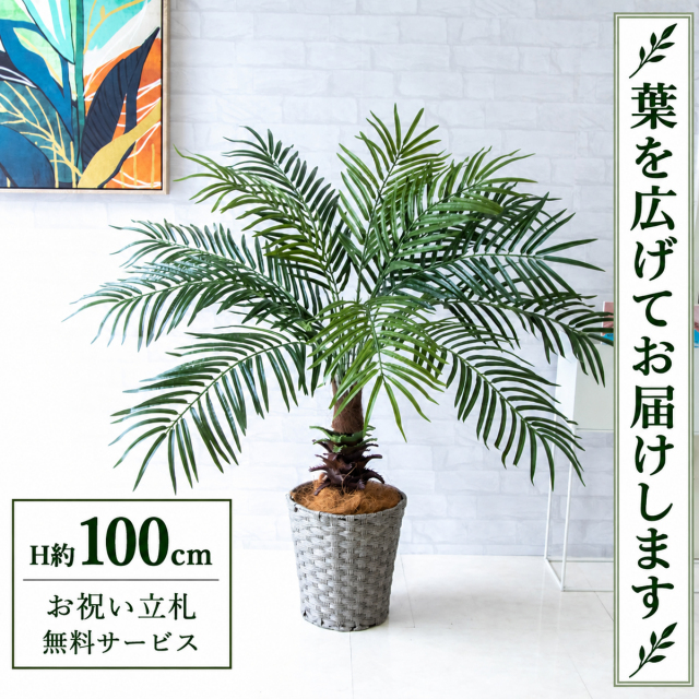 【すぐ飾れる】 フェイクグリーン フェニックス パームツリー ヤシの木 H約100cm 鉢付き / 法人・開店祝い 店舗・オフィス装飾 空間演出 立札無料・造花/PG241-MEL26GY