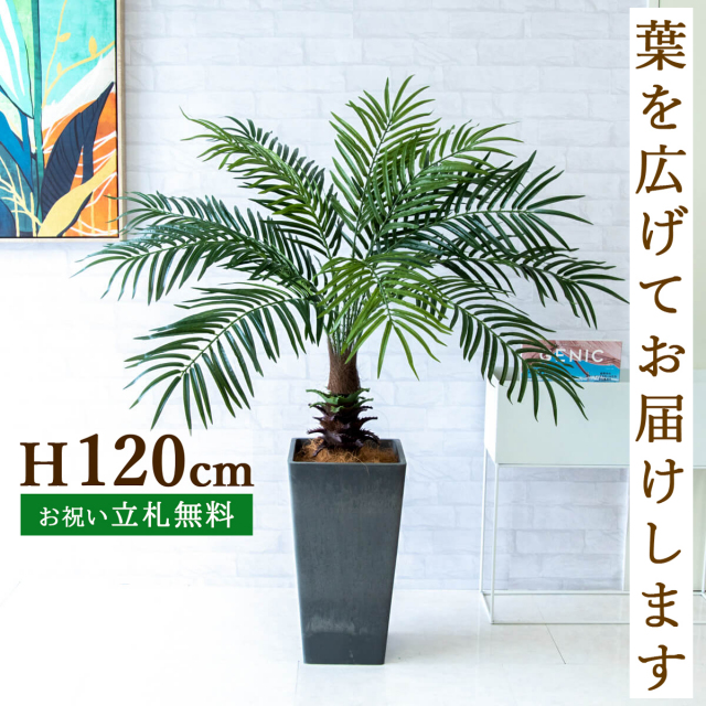 フェイクグリーン フェニックスパームツリー(ヤシの木) H約120cm 鉢付き / 人工観葉植物 観葉植物 フェイク 造花パームツリー 南国 夏 店舗 装飾 開店 開業 移転 祝い ギフト プレゼント おしゃれ 住宅展示場 モデルハウス PG241-Q25BK