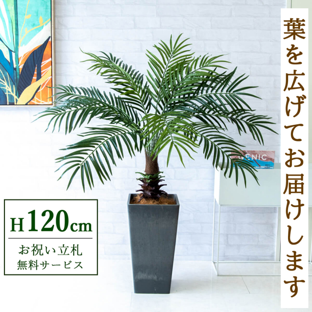 【すぐ飾れる】 フェイクグリーン フェニックス パームツリー ヤシの木 120cm 鉢付き / 法人・開店祝い 店舗・オフィス装飾 空間演出 立札無料・造花/PG241-Q25BK