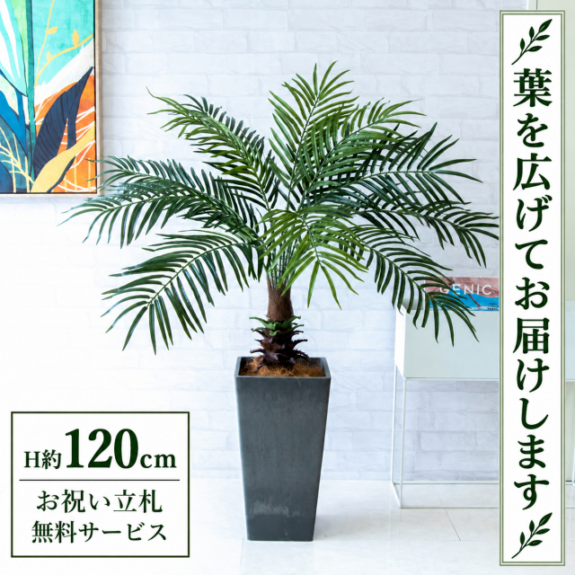 【すぐ飾れる】 フェイクグリーン フェニックス パームツリー ヤシの木 H約120cm 鉢付き / 法人・開店祝い 店舗・オフィス装飾 空間演出 立札無料・造花/PG241-Q25BK