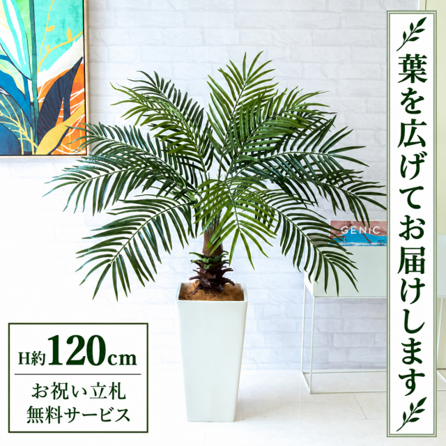 【すぐ飾れる】 フェイクグリーン フェニックス パームツリー ヤシの木 H約120cm 鉢付き / 法人・開店祝い 店舗・オフィス装飾 空間演出 立札無料・造花/PG241-Q25WH