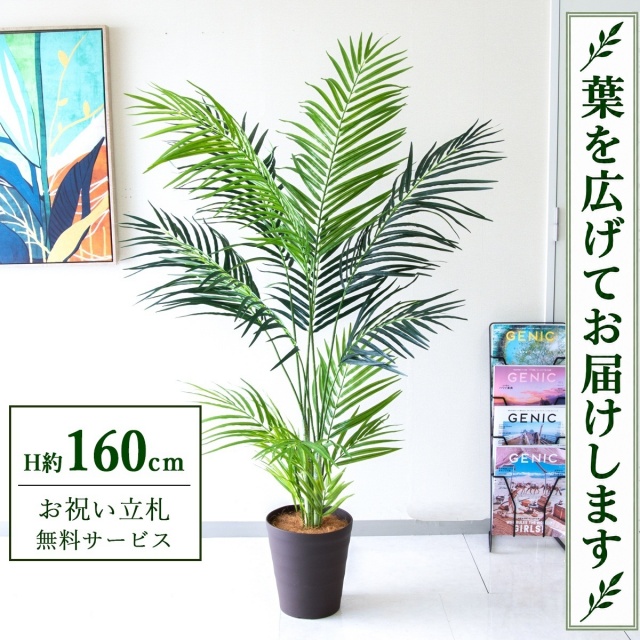 【すぐ飾れる】 フェイクグリーン アレカパーム H約160cm 鉢付き / 法人・開店祝い 店舗・オフィス装飾 空間演出 立札無料・造花/PG242-B240BR
