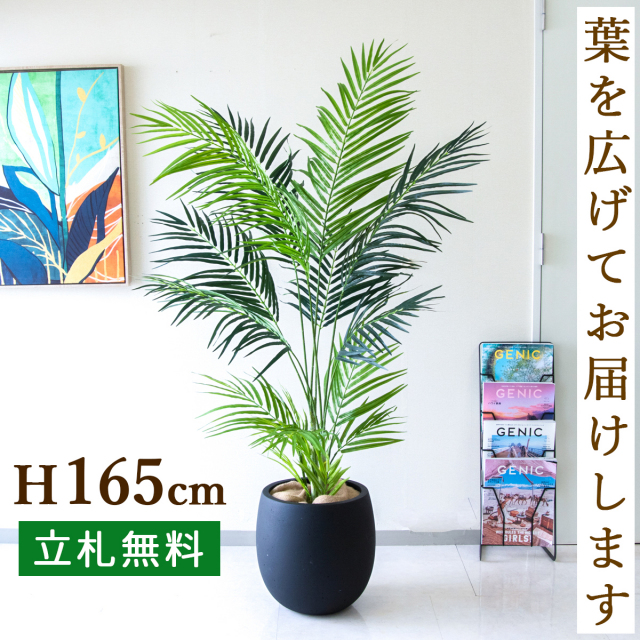 フェイクグリーン アレカパームツリー H約165cm 鉢付き / 人工観葉植物 観葉植物 フェイク 造花パームツリー 南国 夏 店舗 装飾 開店 開業 移転 祝い ギフト プレゼント おしゃれ 住宅展示場 モデルハウス オフィス 立札無料 PG242-BAL30BK