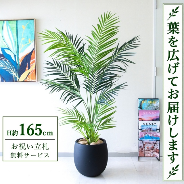 【すぐ飾れる】 フェイクグリーン アレカパーム H約165cm 鉢付き / 法人・開店祝い 店舗・オフィス装飾 空間演出 立札無料・造花/PG242-BAL30BK