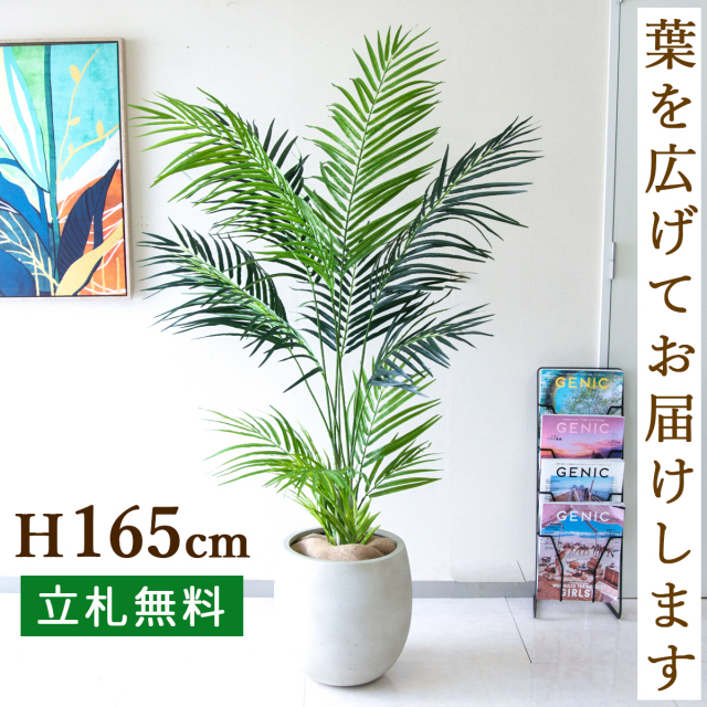 フェイクグリーン アレカパームツリー H約165cm 鉢付き / 人工観葉植物 観葉植物 フェイク 造花パームツリー 南国 夏 店舗 装飾 開店 開業 移転 祝い ギフト プレゼント おしゃれ 住宅展示場 モデルハウス オフィス 立札無料 PG242-BAL30IV