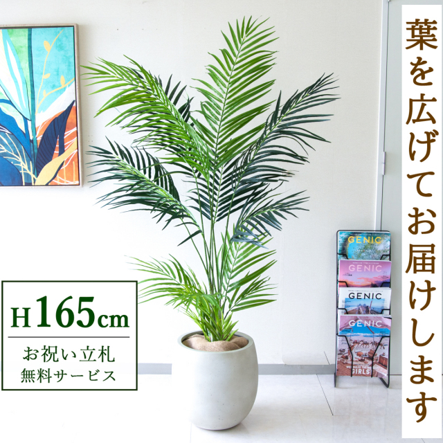 フェイクグリーン アレカパームツリー H約165cm 鉢付き / 人工観葉植物 観葉植物 フェイク 造花パームツリー 南国 夏 店舗 装飾 開店 開業 移転 祝い ギフト プレゼント おしゃれ 住宅展示場 モデルハウス オフィス 立札無料 PG242-BAL30IV