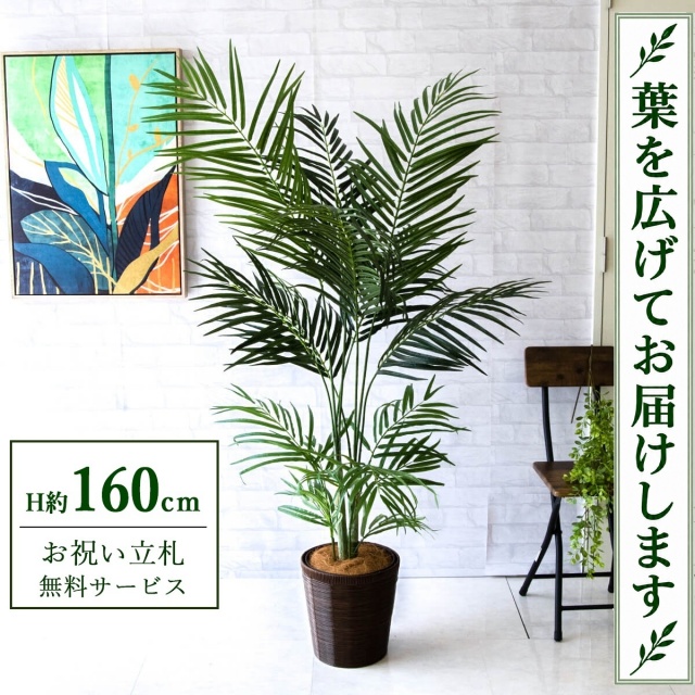 【すぐ飾れる】 フェイクグリーン アレカパーム H約160cm 鉢付き / 法人・開店祝い 店舗・オフィス装飾 空間演出 立札無料・造花/PG242-SYD26DB