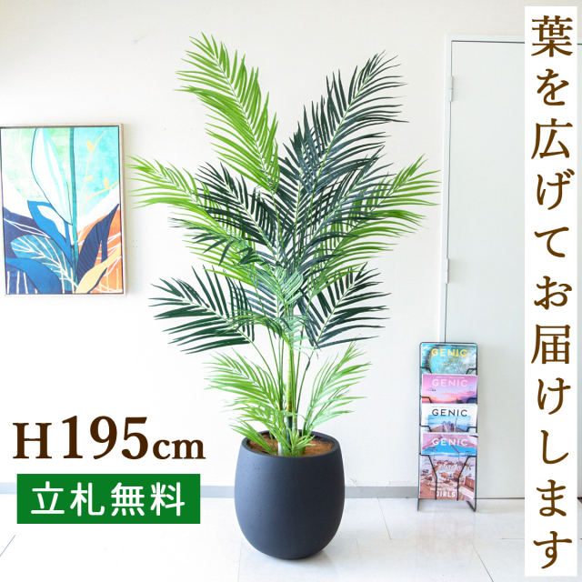 フェイクグリーン アレカパームツリー H約195cm 鉢付き / 人工観葉植物 観葉植物 フェイク 造花 大型 大きいパームツリー 南国 夏 店舗 装飾 開店 開業 移転 祝い ギフト プレゼント おしゃれ 住宅展示場 モデルハウス オフィス 立札無料 PG243-BAL42BK