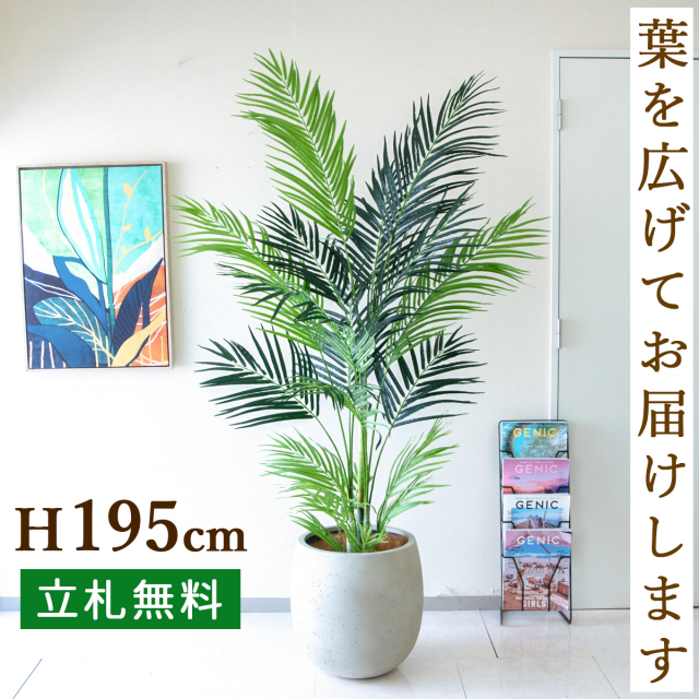 フェイクグリーン アレカパームツリー H約195cm 鉢付き / 人工観葉植物 観葉植物 フェイク 造花 大型 大きいパームツリー 南国 夏 店舗 装飾 開店 開業 移転 祝い ギフト プレゼント おしゃれ 住宅展示場 モデルハウス オフィス 立札無料 PG243-BAL42IV