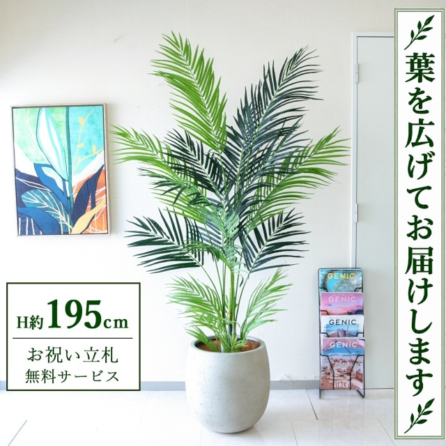【すぐ飾れる】 フェイクグリーン アレカパーム H約195cm 大型 鉢付き / 法人・開店祝い 店舗・オフィス装飾 空間演出 立札無料・造花/PG243-BAL42IV