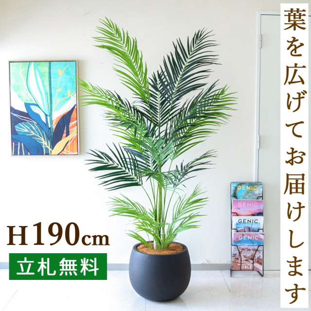 フェイクグリーン アレカパームツリー H約190cm 鉢付き / 人工観葉植物 観葉植物 フェイク 造花 大型 大きいパームツリー 南国 夏 店舗 装飾 開店 開業 移転 祝い ギフト プレゼント おしゃれ 住宅展示場 モデルハウス オフィス 立札無料 PG243-D42BK