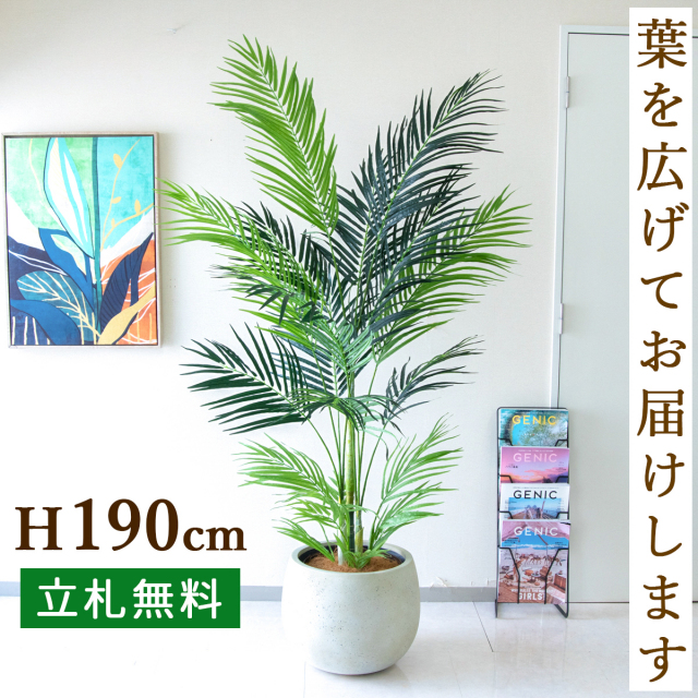 フェイクグリーン アレカパームツリー H約190cm 鉢付き / 人工観葉植物 観葉植物 フェイク 造花 大型 大きいパームツリー 南国 夏 店舗 装飾 開店 開業 移転 祝い ギフト プレゼント おしゃれ 住宅展示場 モデルハウス オフィス 立札無料 PG243-D42IV
