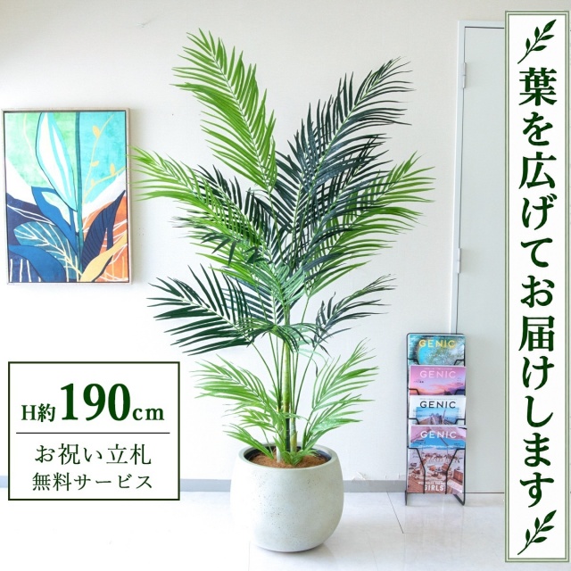 【すぐ飾れる】 フェイクグリーン アレカパーム H約190cm 大型 鉢付き / 法人・開店祝い 店舗・オフィス装飾 空間演出 立札無料・造花/PG243-D42IV