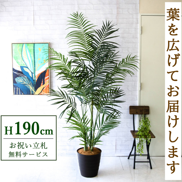 フェイクグリーン アレカパームツリー H約190cm 鉢付き / 人工観葉植物 観葉植物 フェイク 造花 大型 大きいパームツリー 南国 夏 店舗 装飾 開店 開業 移転 祝い ギフト プレゼント おしゃれ 住宅展示場 モデルハウス オフィス 立札無料 PG243-M30DB