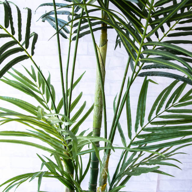 人工 観葉植物 フェイク グリーン アレカパームツリー H約200cm