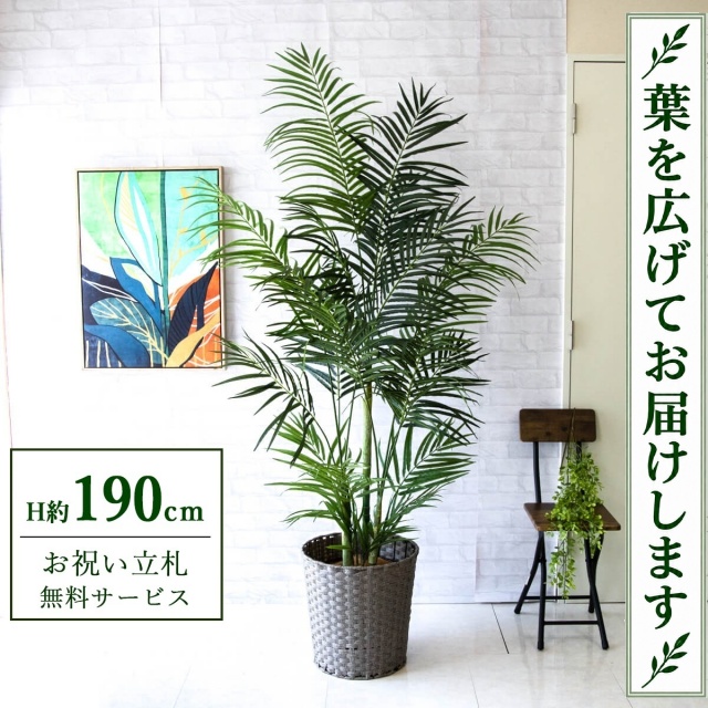 【すぐ飾れる】 フェイクグリーン アレカパーム H約190cm 大型 鉢付き / 法人・開店祝い 店舗・オフィス装飾 空間演出 立札無料・造花/PG243-MEL38GY
